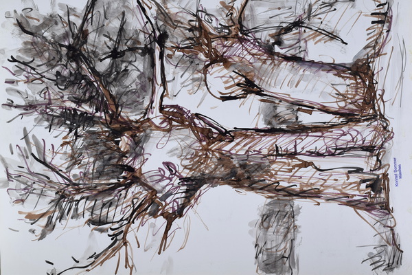 Konrad Sommer:  Weiden, Faserstifte und Tusche, 1983, Tusche, Sepia auf  Papier, Rückseite von Weiden 1983   